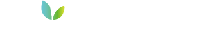 PARIS PARIS CUBE