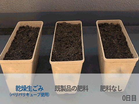 Dried food garbage mixed well into soil and let sit for 40 days