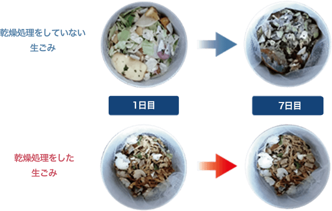 乾燥処理した生ごみとしていない生ごみの比較