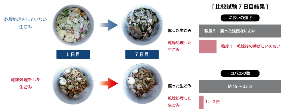 乾燥処理した生ごみとしていない生ごみの比較