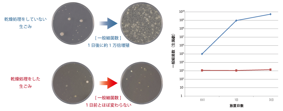 乾燥処理した生ごみとしていない生ごみの比較