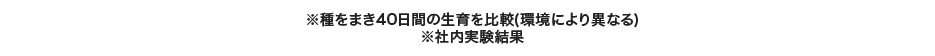 ※種をまき40日間の生育を比較(環境により異なる)※社内実験結果